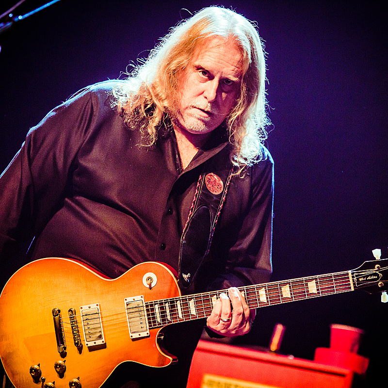 Gov't Mule