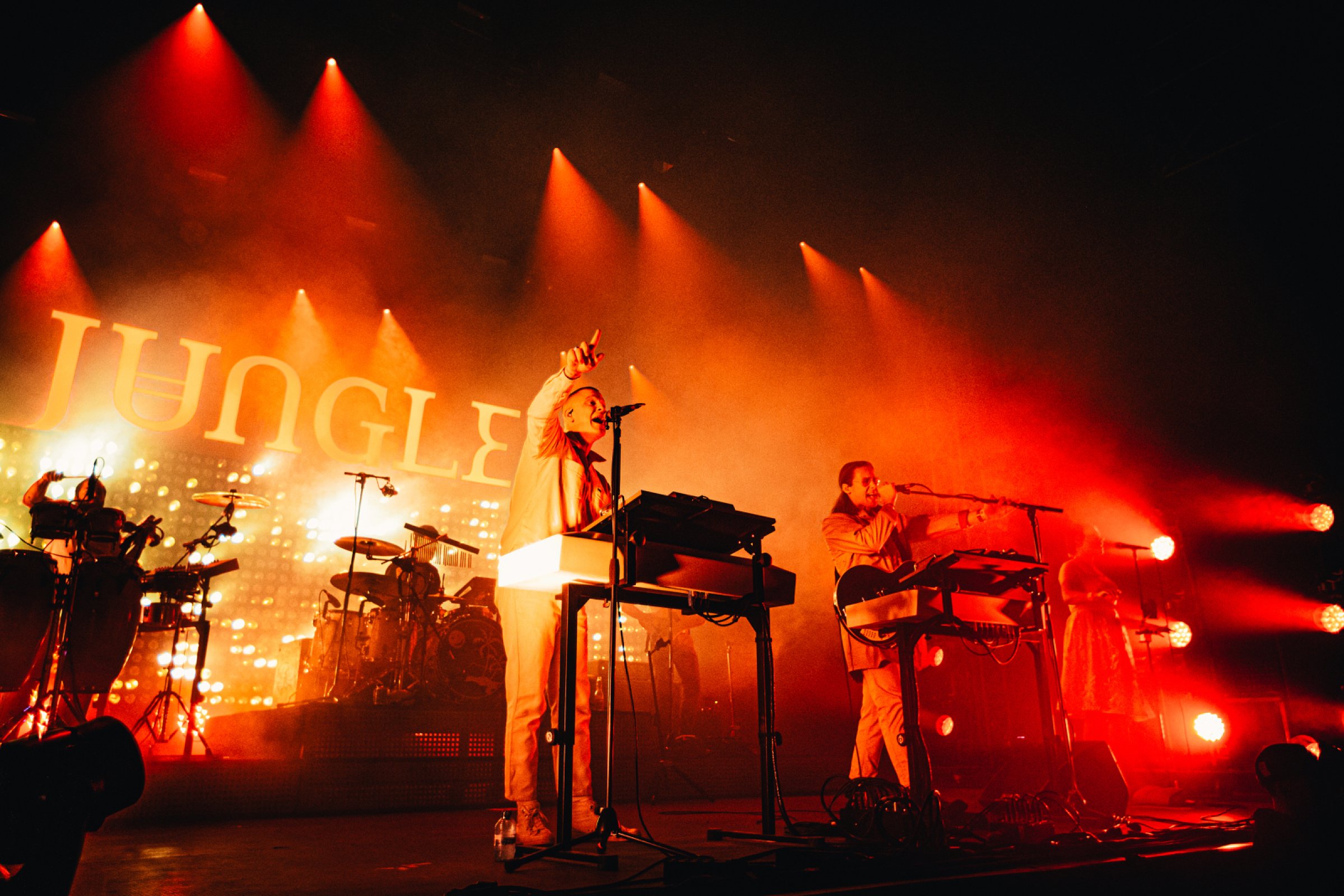 Jungle · foto 1
