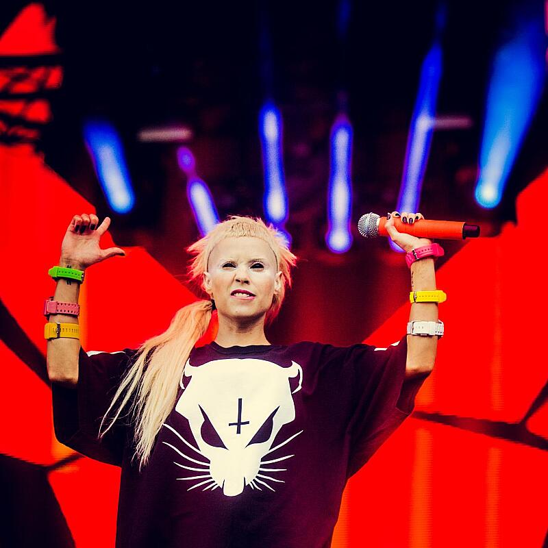 Die Antwoord