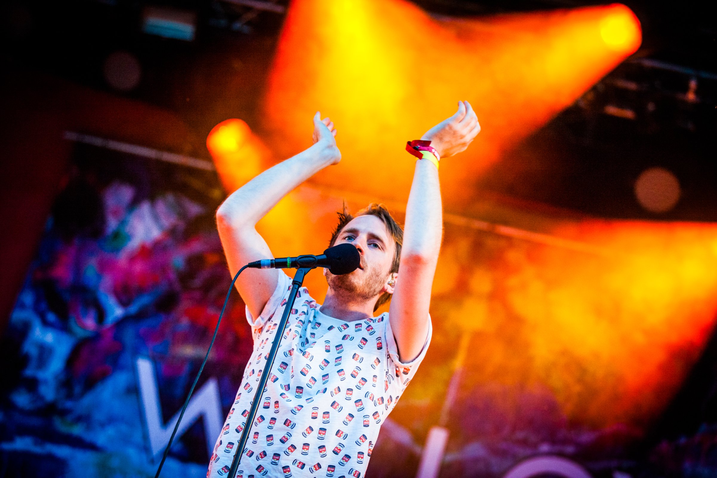 Willow · photo 1