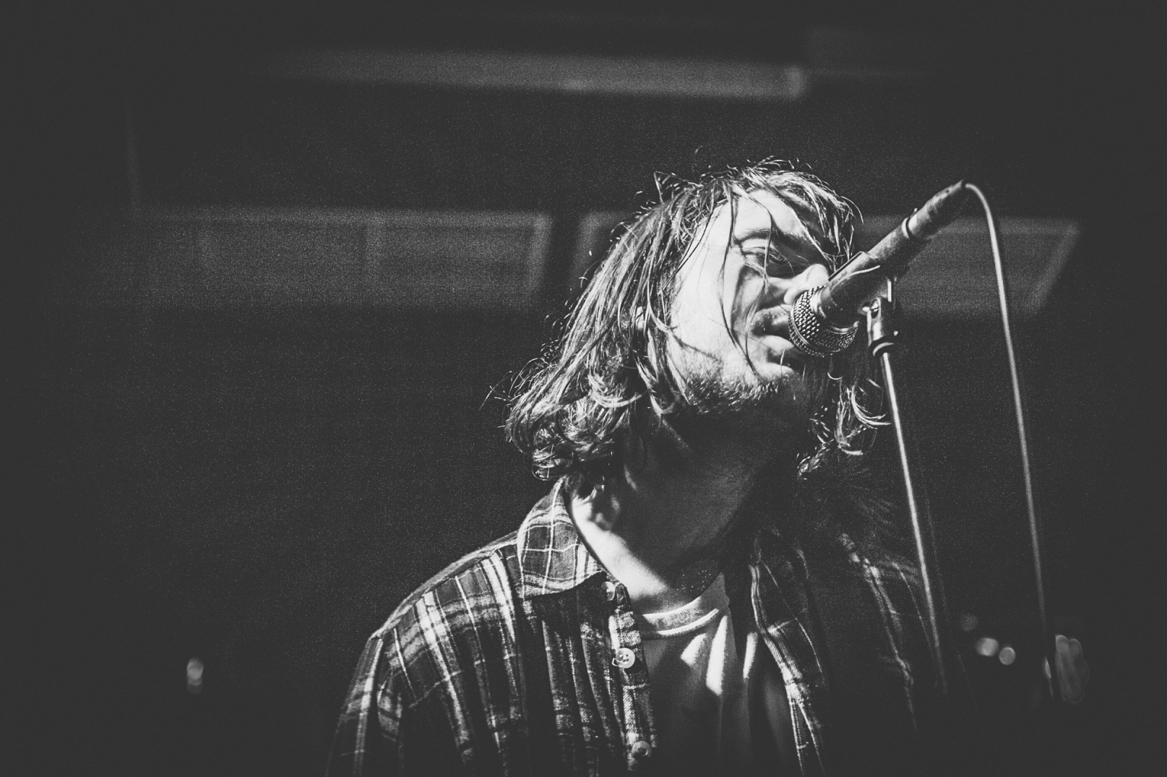 Great Cynics · foto 1