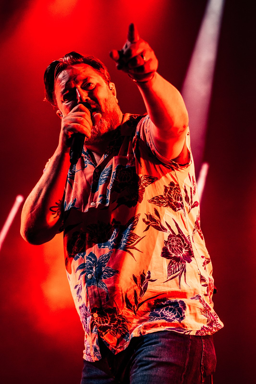 Elbow · photo 1