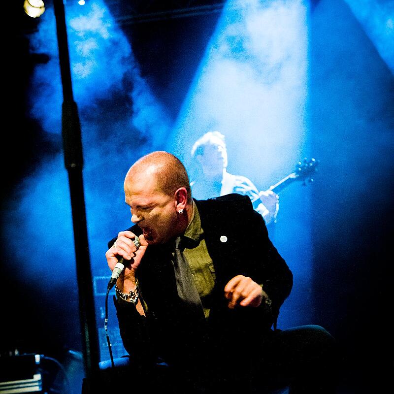 Gavin Friday