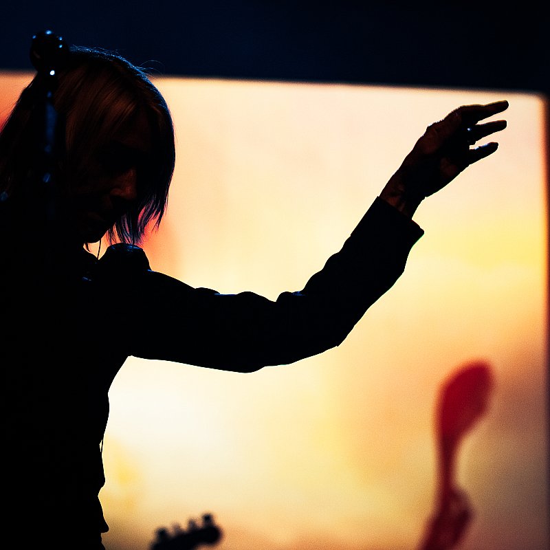 Kim Gordon at viernulvier