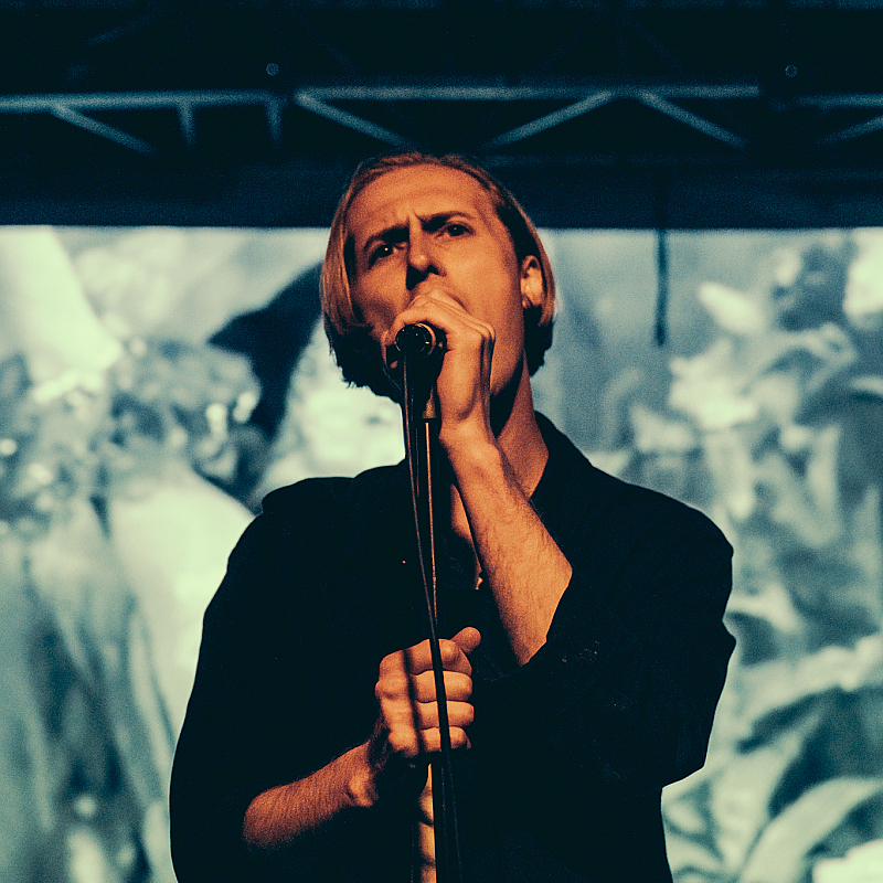 Eagulls
