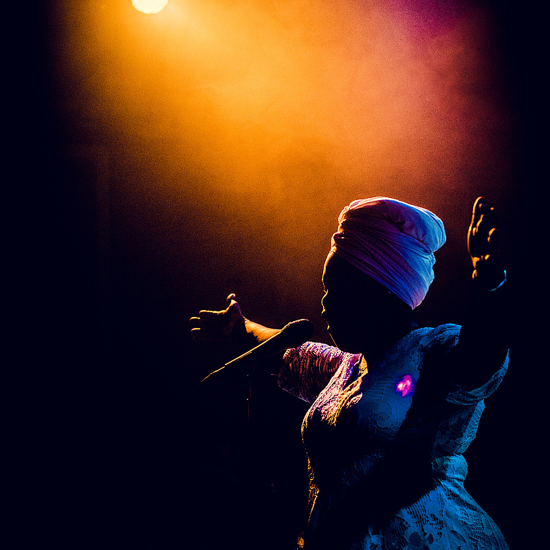 Dayme Arocena