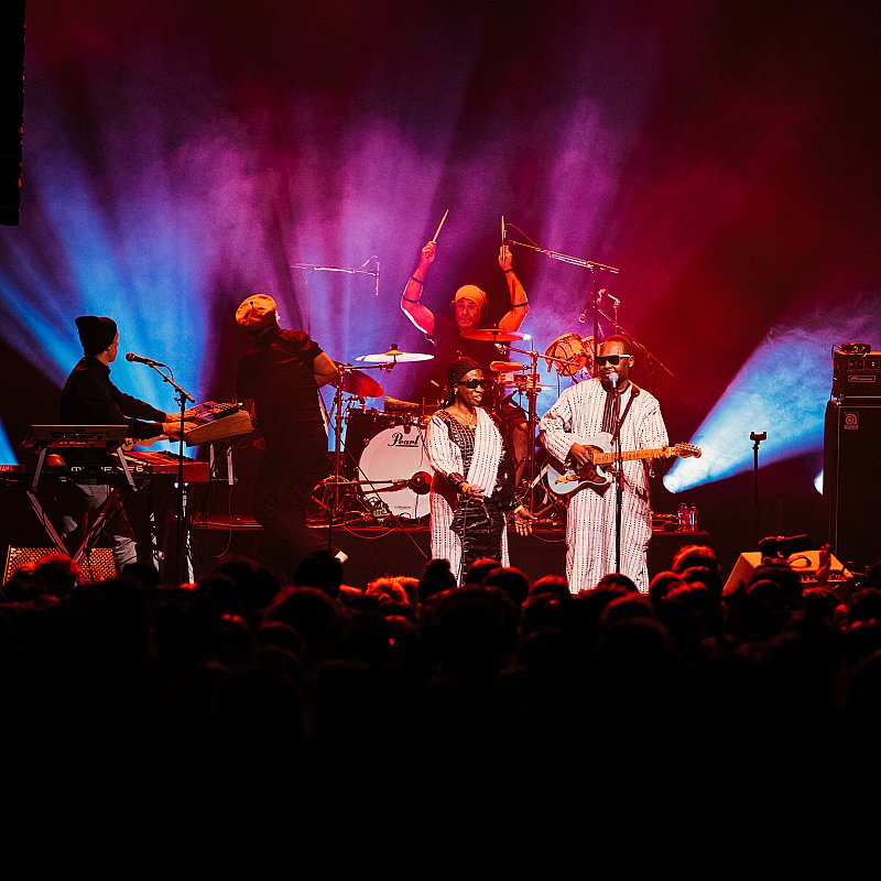Amadou & Mariam at viernulvier