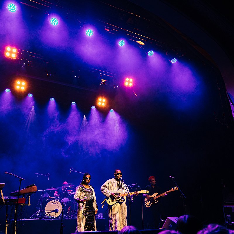 Amadou & Mariam at viernulvier