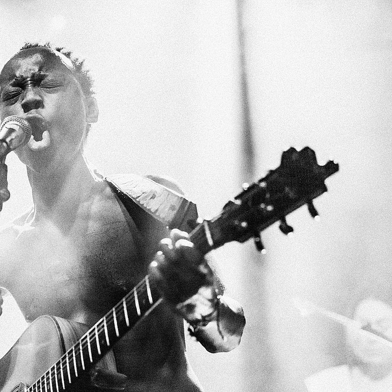 Porcelain id at Wintercircus