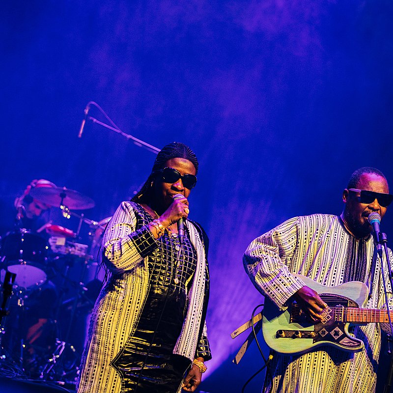 Amadou & Mariam at viernulvier