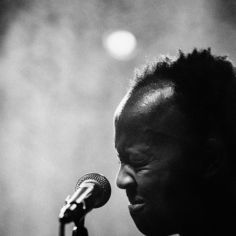 Porcelain id at Wintercircus