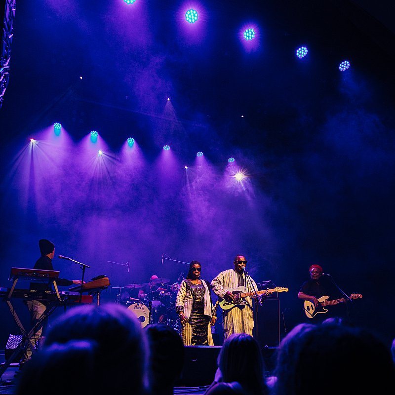 Amadou & Mariam at viernulvier