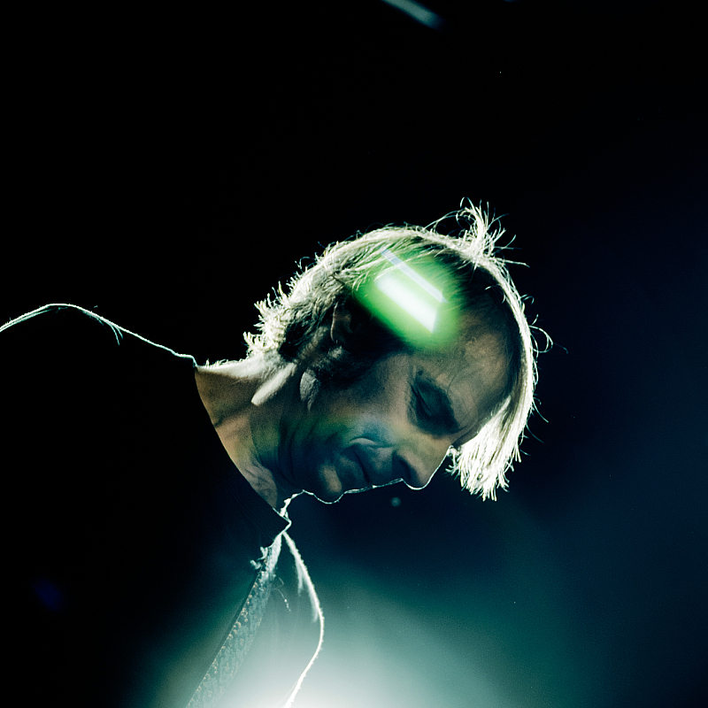 Mudhoney
