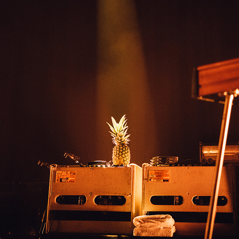Glass Animals