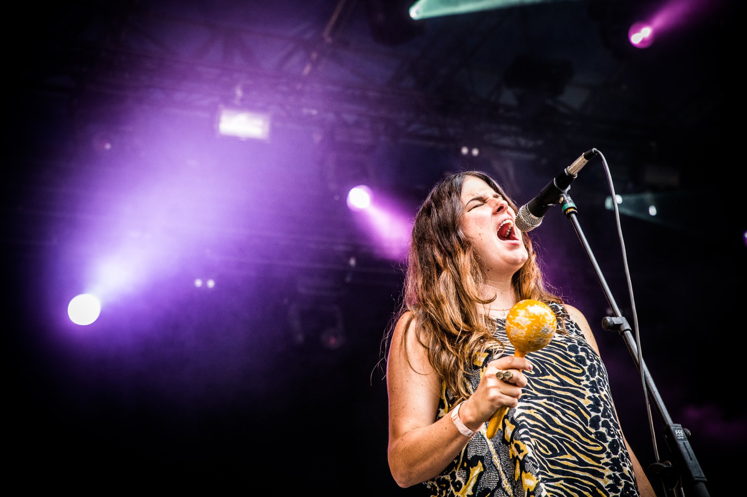 Black Mountain · foto 1