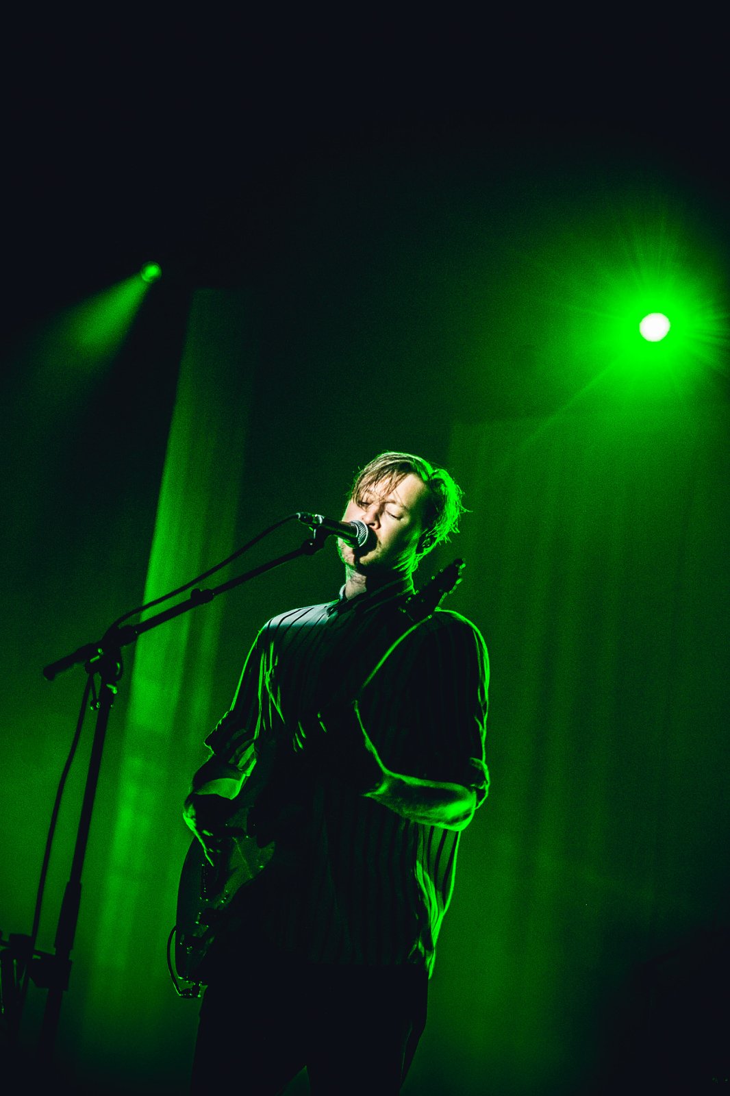 Django Django · foto 1