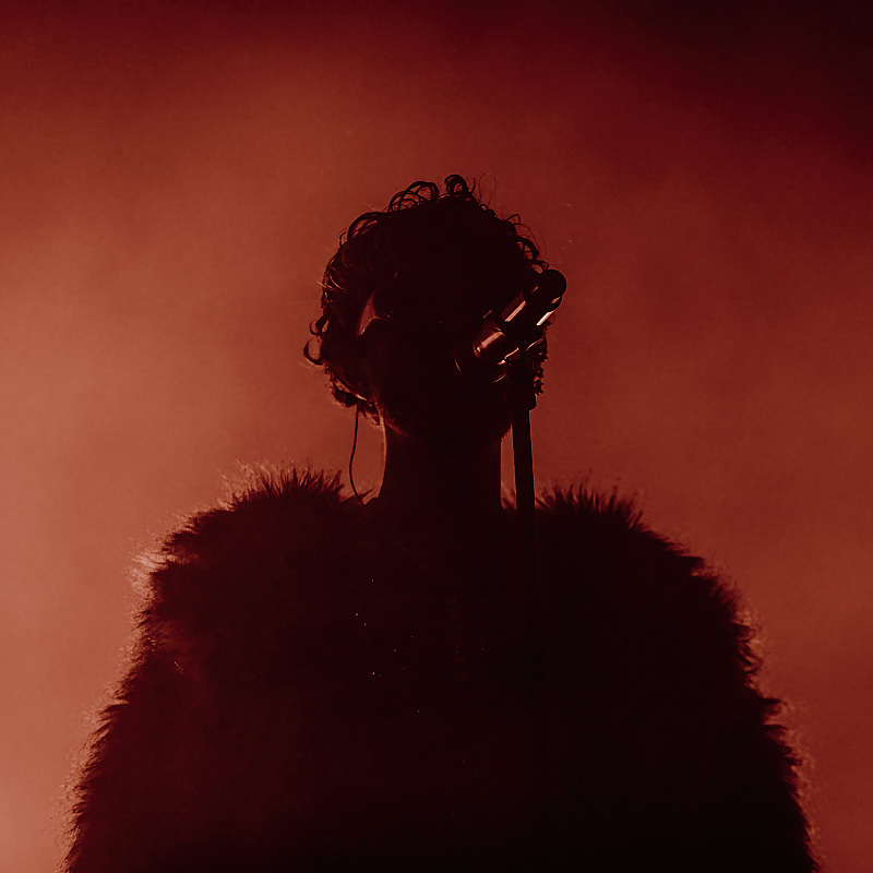 Oscar & The Wolf