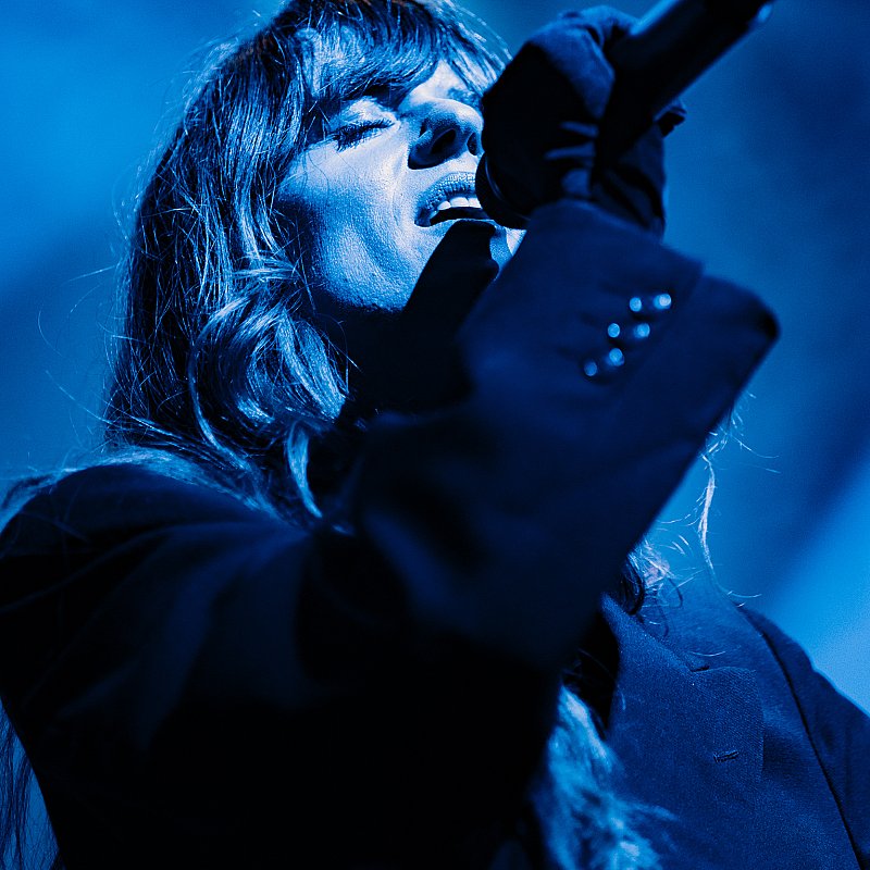 Merol at viernulvier