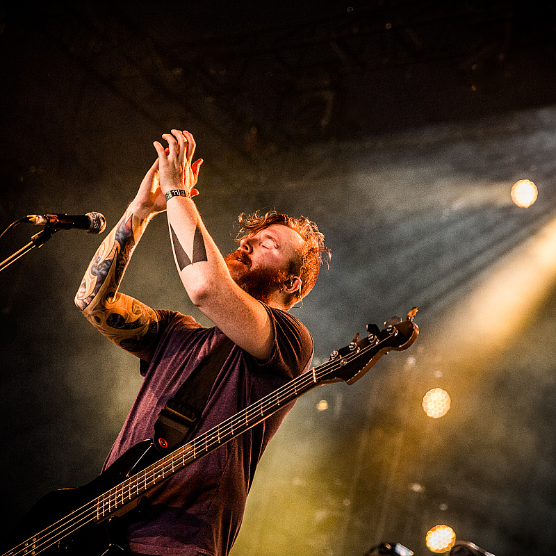And So I Watch You From Afar