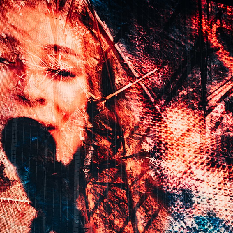 Froukje at Pukkelpop 2023