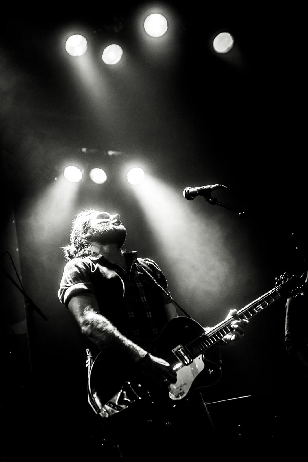 Bands Of Willies · foto 1