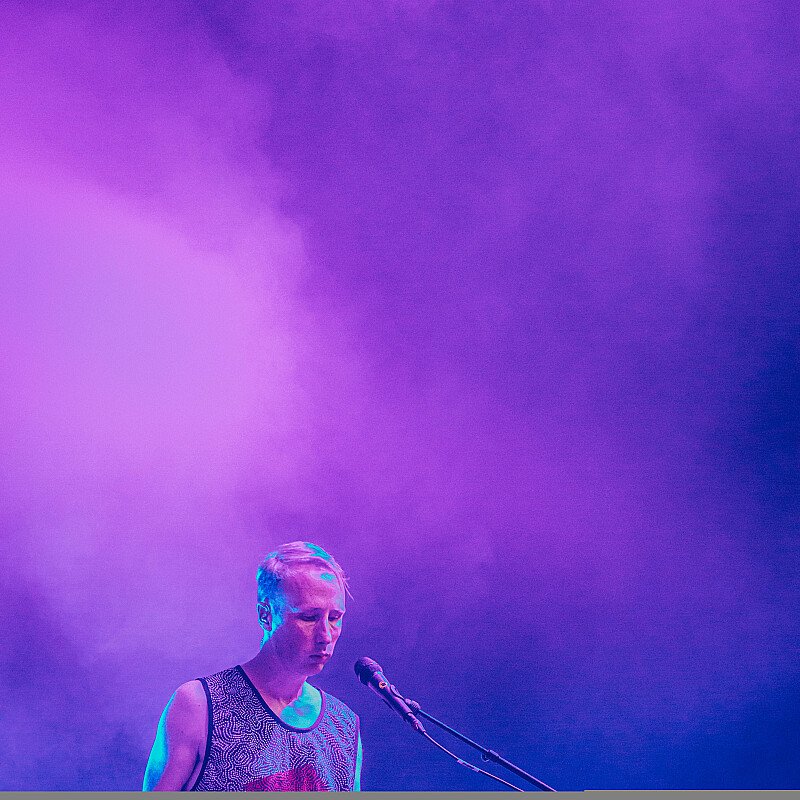 Goose at Cactusfestival 2019