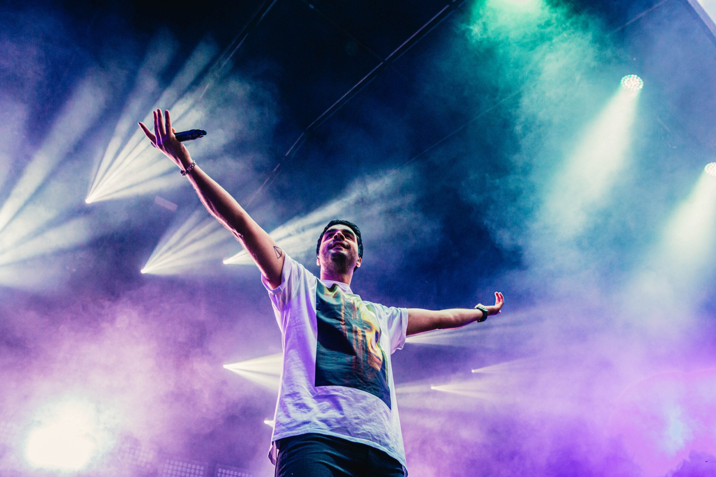 Goose at Cactusfestival 2019