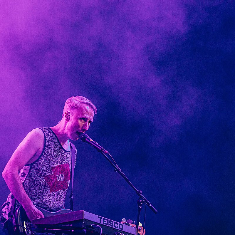 Goose at Cactusfestival 2019