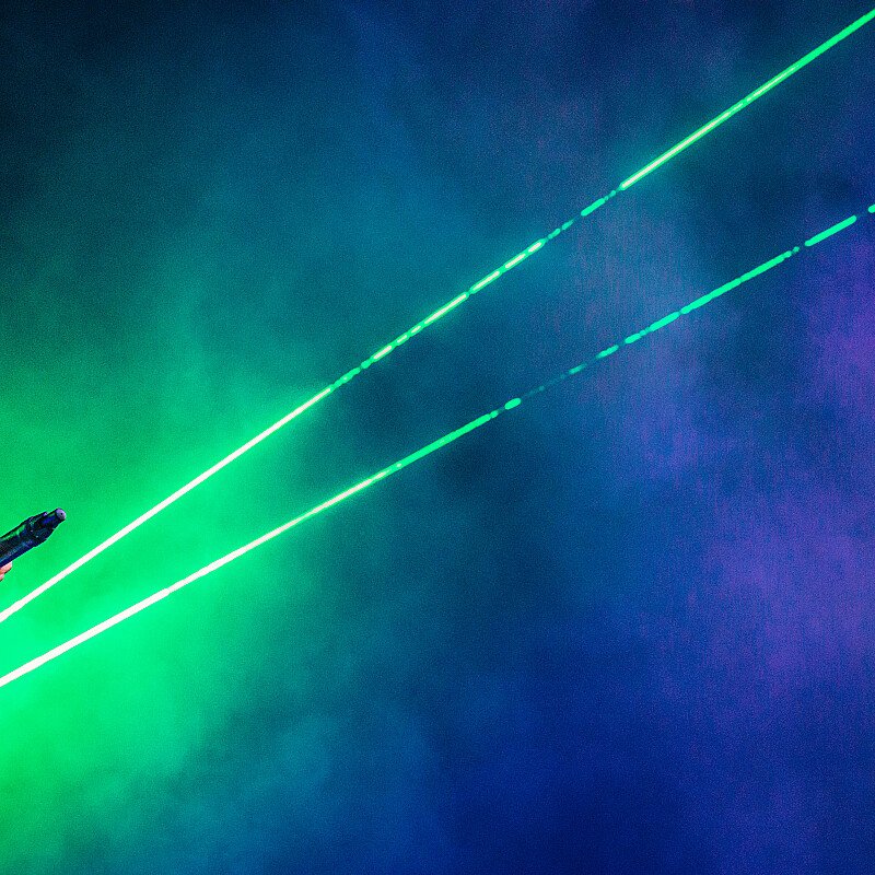 Goose at Cactusfestival 2019