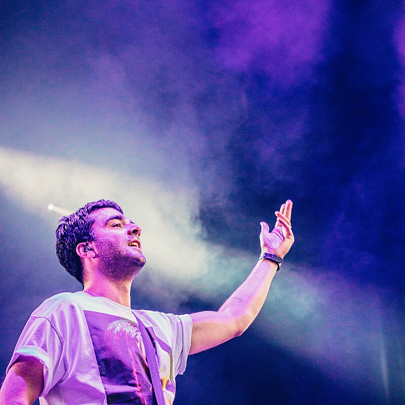 Goose at Cactusfestival 2019