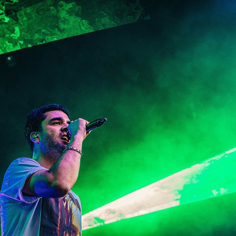 Goose at Cactusfestival 2019