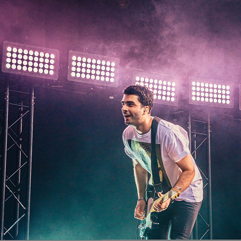 Goose at Cactusfestival 2019
