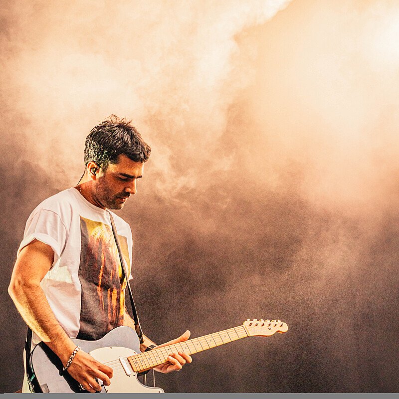 Goose at Cactusfestival 2019