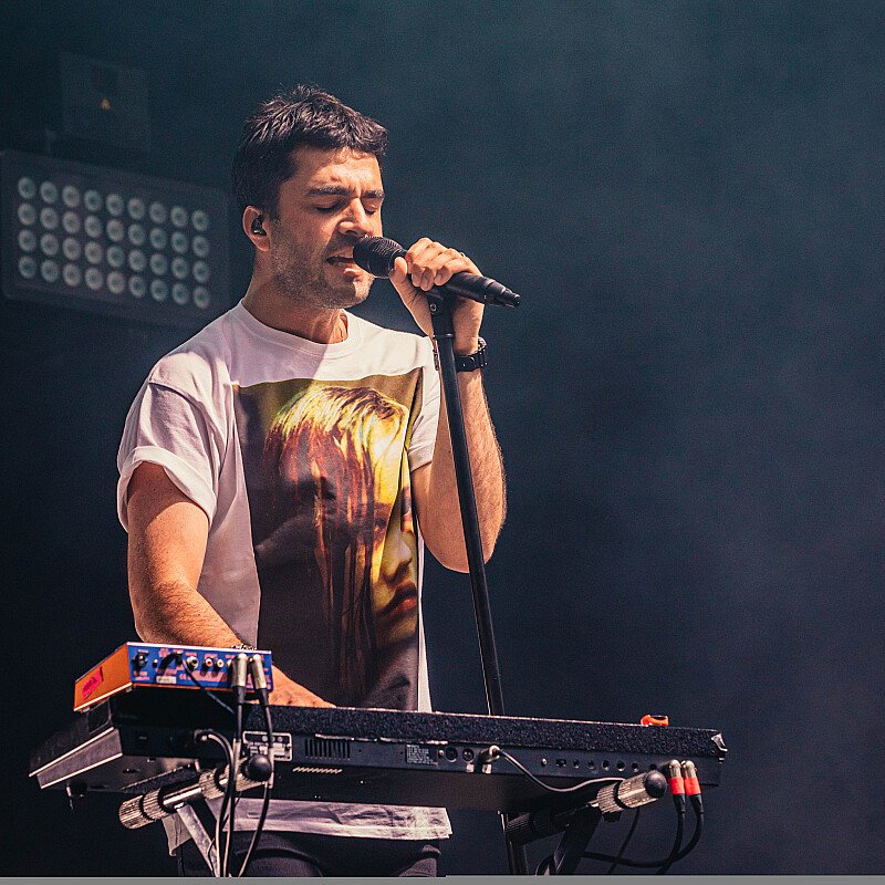 Goose at Cactusfestival 2019