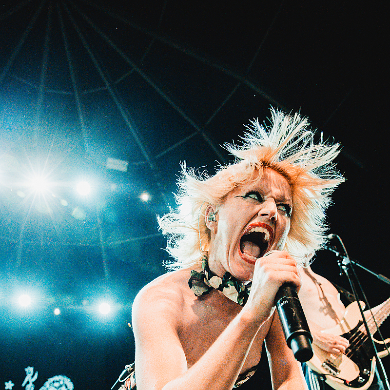 Amyl and the Sniffers