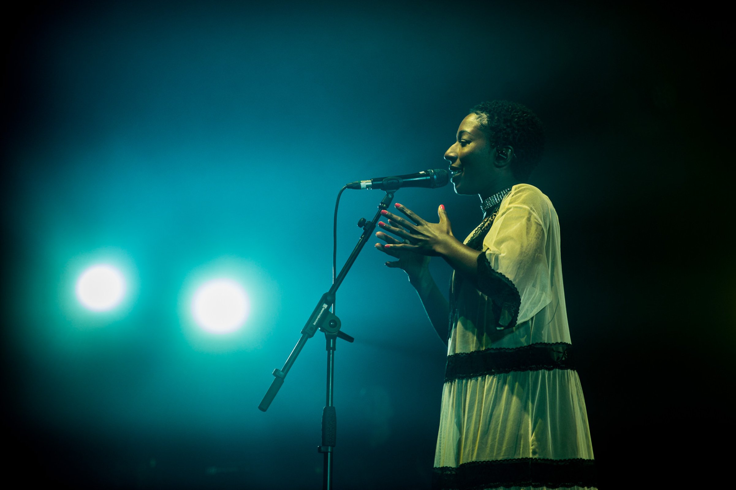 Bonobo · photo 1