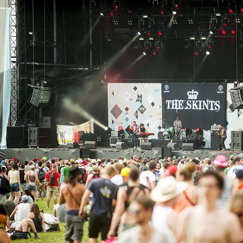 The Skints