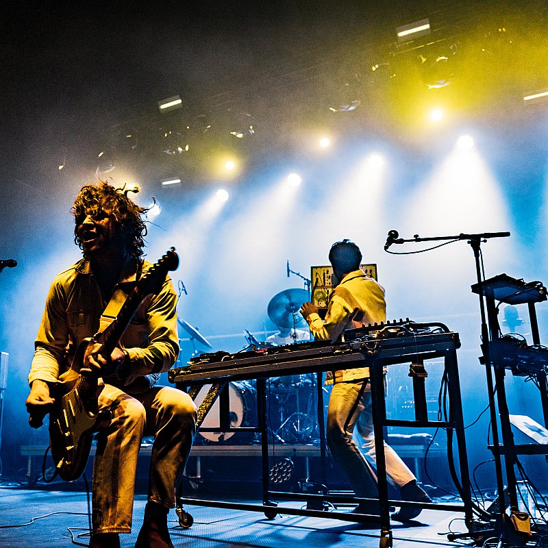 Compact Disk Dummies at Gladiolen 2022