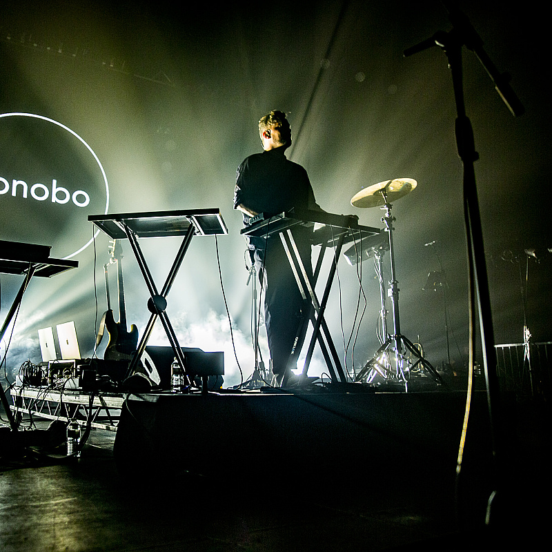 Bonobo
