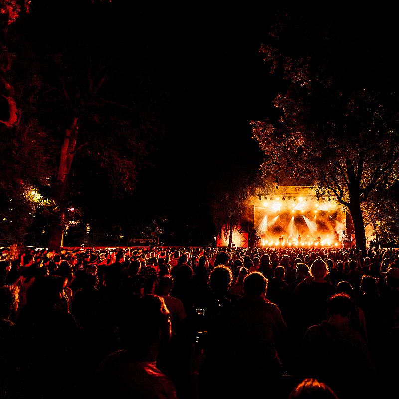 Tamino at Cactusfestival 2023
