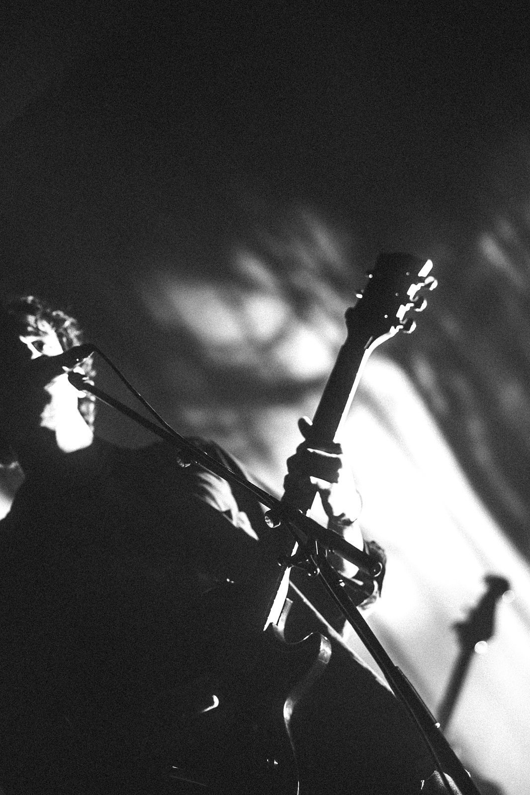 Tamino · foto 1