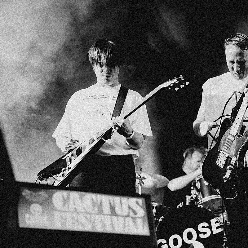 Goose at Cactusfestival 2023