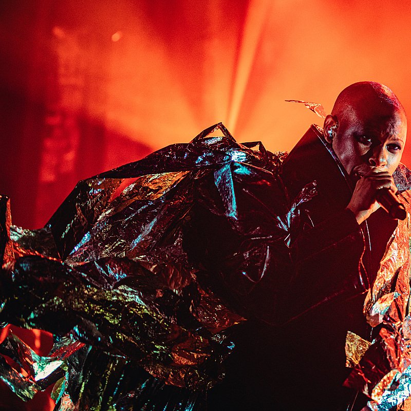 Skunk Anansie at Crammerock 2019