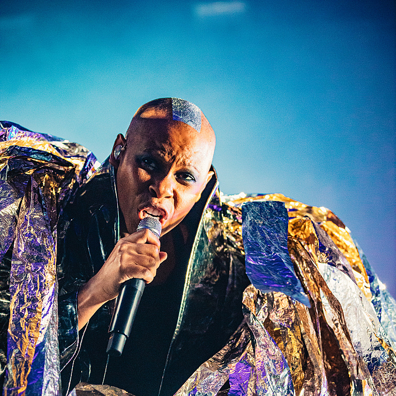 Skunk Anansie