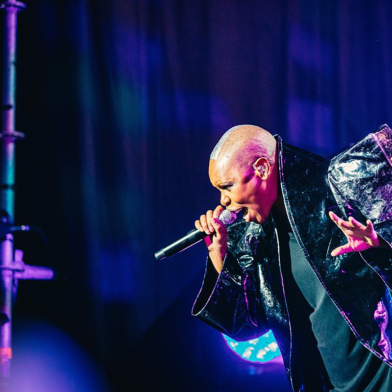 Skunk Anansie at Crammerock 2019