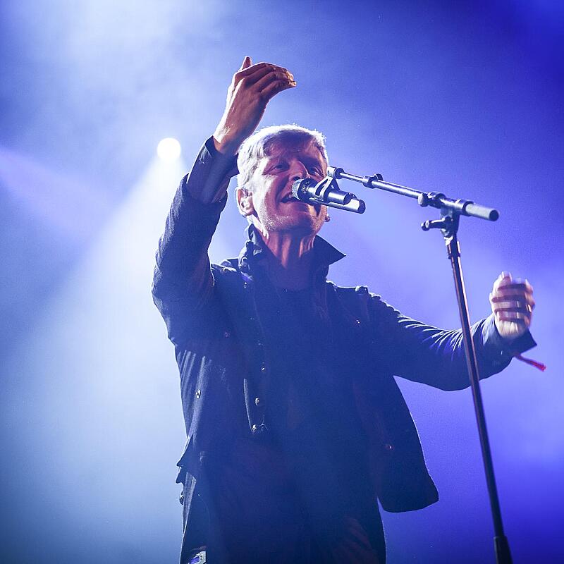 Ozark Henry