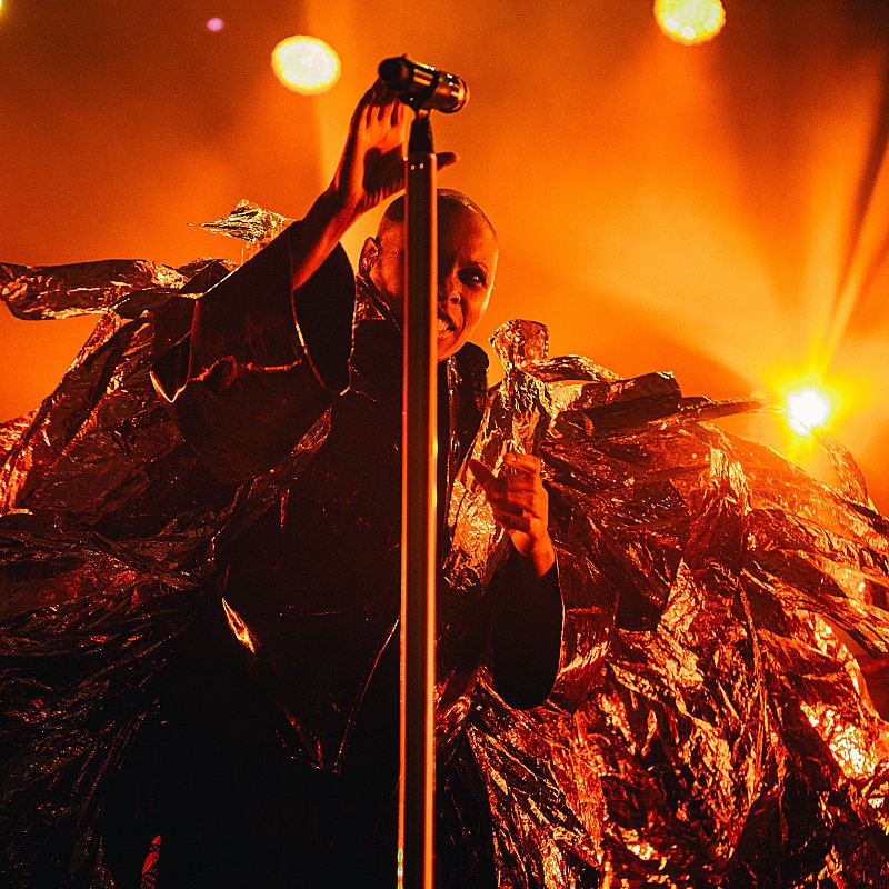 Skunk Anansie at Crammerock 2019