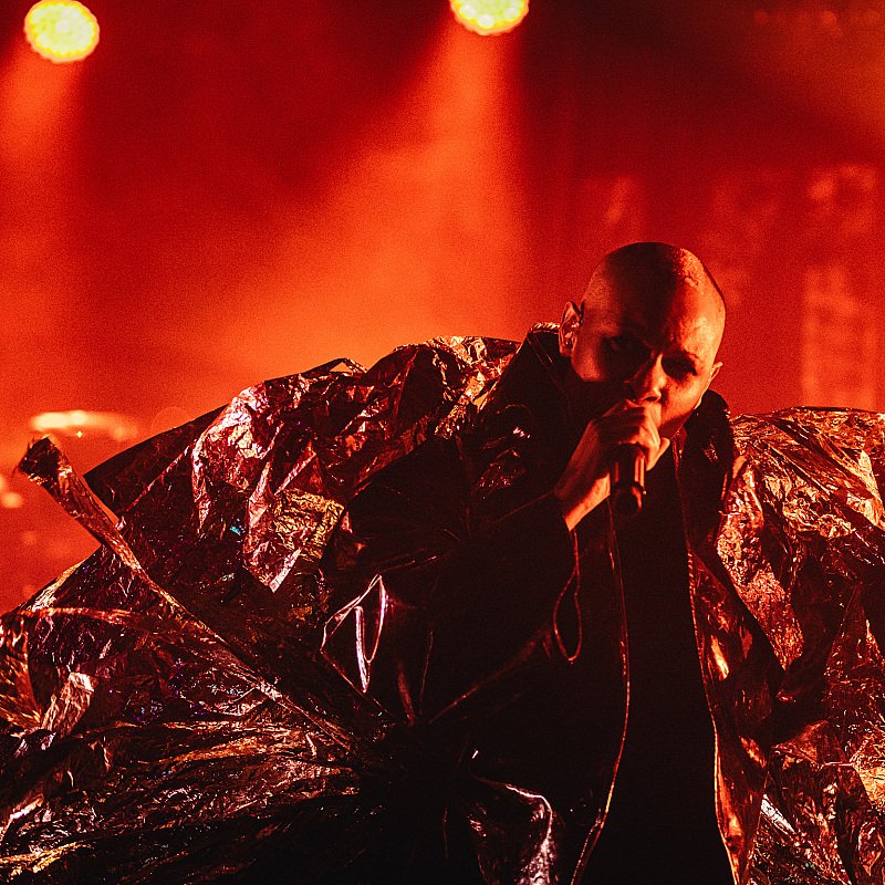 Skunk Anansie at Crammerock 2019