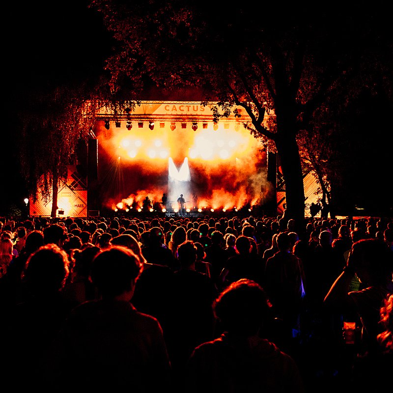 Tamino at Cactusfestival 2023