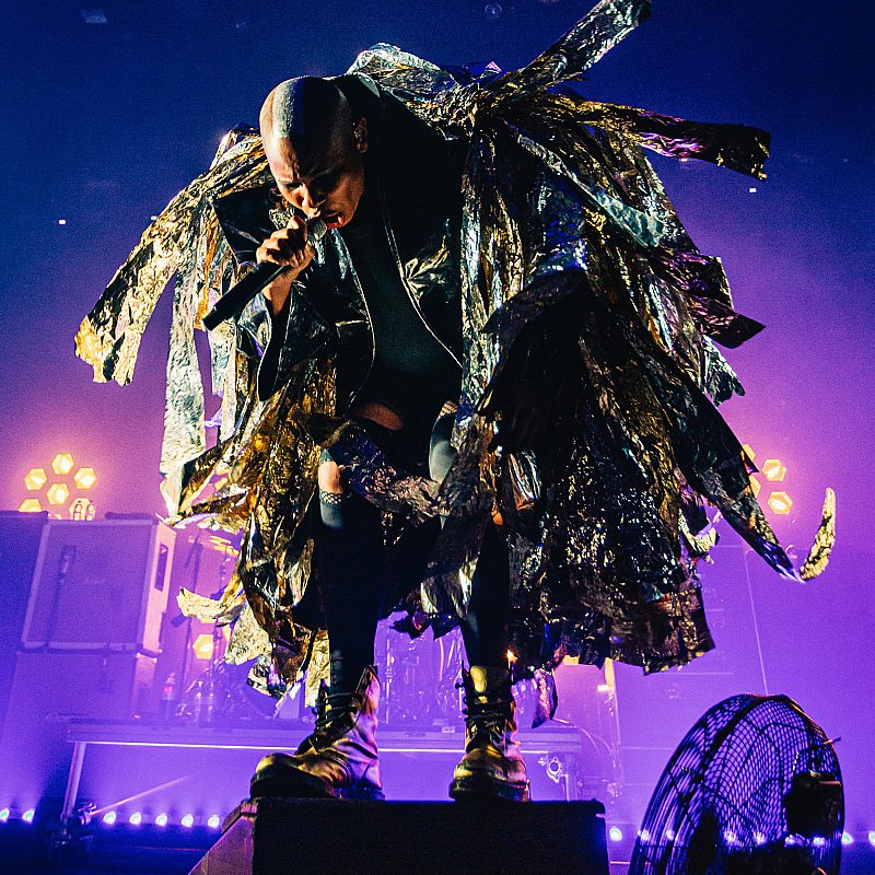 Skunk Anansie at Crammerock 2019